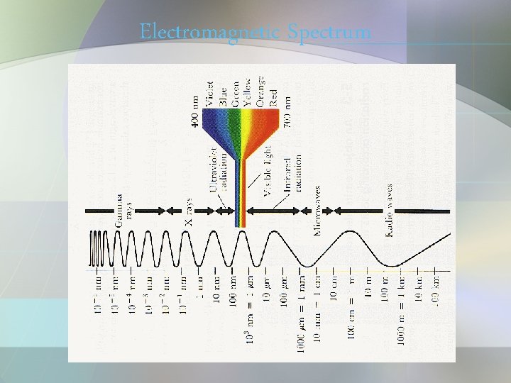 Electromagnetic Spectrum 