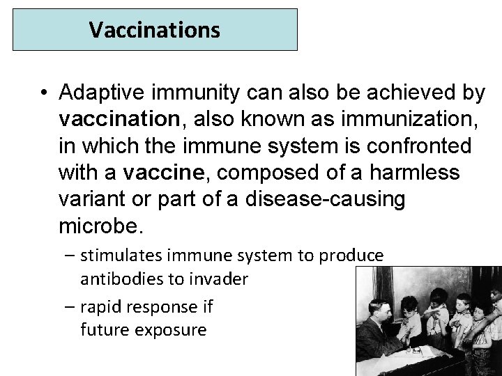 Vaccinations • Adaptive immunity can also be achieved by vaccination, also known as immunization,