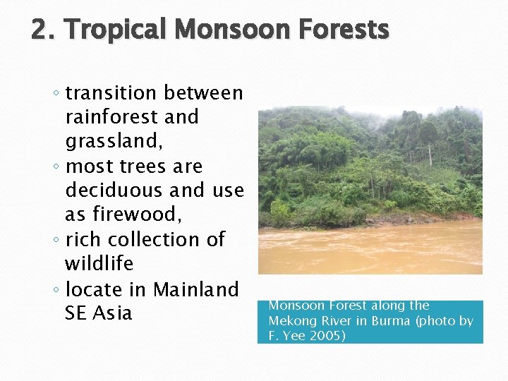 2. Tropical Monsoon Forests ◦ transition between rainforest and grassland, ◦ most trees are