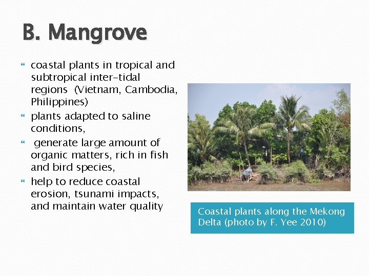B. Mangrove coastal plants in tropical and subtropical inter-tidal regions (Vietnam, Cambodia, Philippines) plants