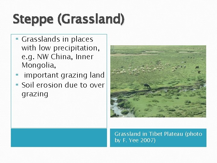 Steppe (Grassland) Grasslands in places with low precipitation, e. g. NW China, Inner Mongolia,