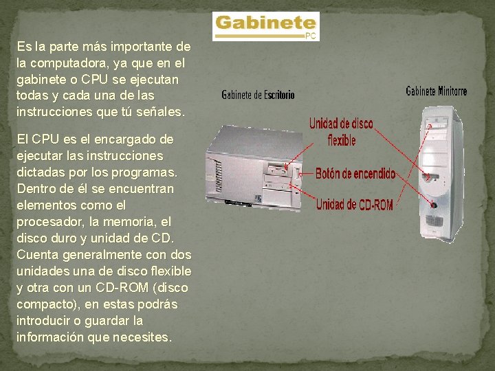 Es la parte más importante de la computadora, ya que en el gabinete o