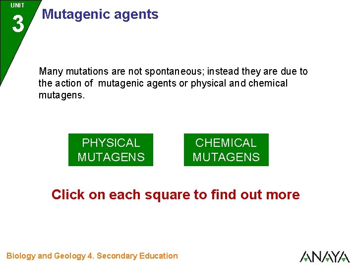 UNIT 3 Mutagenic agents Many mutations are not spontaneous; instead they are due to