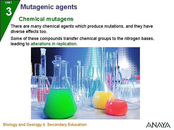 UNIT 3 Mutagenic agents Chemical mutagens There are many chemical agents which produce mutations, UNIT 3 Mutagenic agents Chemical mutagens There are many chemical agents which produce mutations,