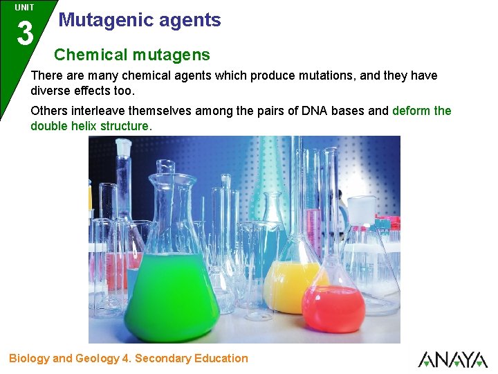 UNIT 3 Mutagenic agents Chemical mutagens There are many chemical agents which produce mutations,