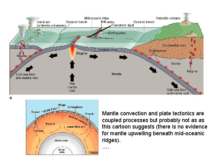 Transform fault Mantle convection and plate tectonics are coupled processes but probably not as
