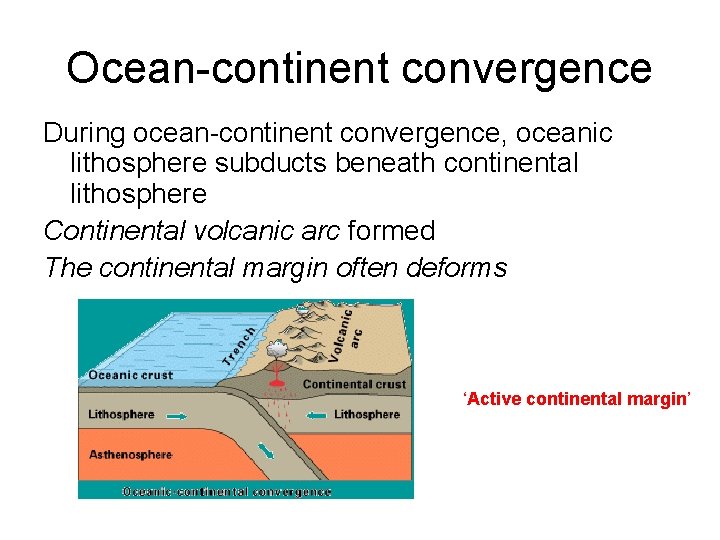 Ocean-continent convergence During ocean-continent convergence, oceanic lithosphere subducts beneath continental lithosphere Continental volcanic arc