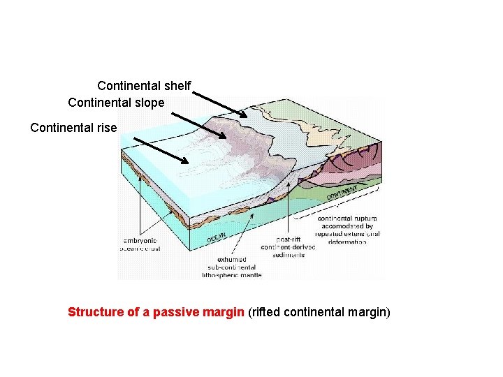Continental shelf Continental slope Continental rise Structure of a passive margin (rifted continental margin)