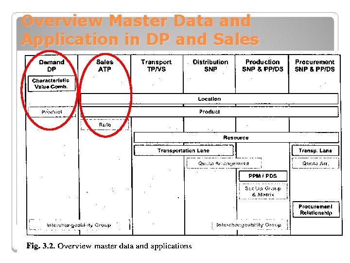 Overview Master Data and Application in DP and Sales 