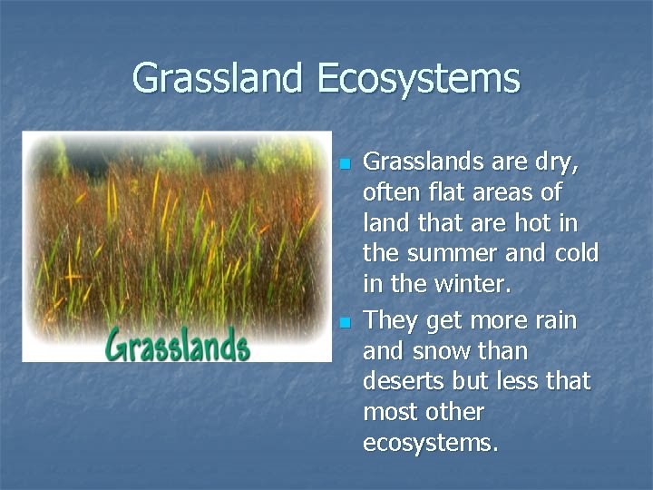 Grassland Ecosystems n n Grasslands are dry, often flat areas of land that are