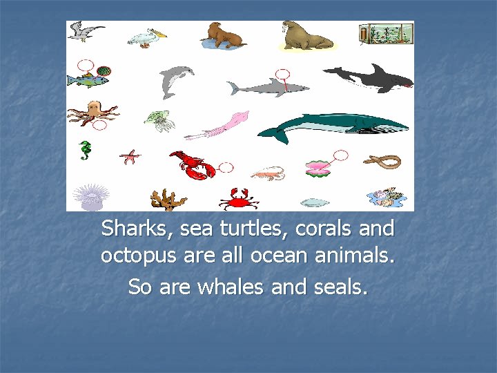 Sharks, sea turtles, corals and octopus are all ocean animals. So are whales and