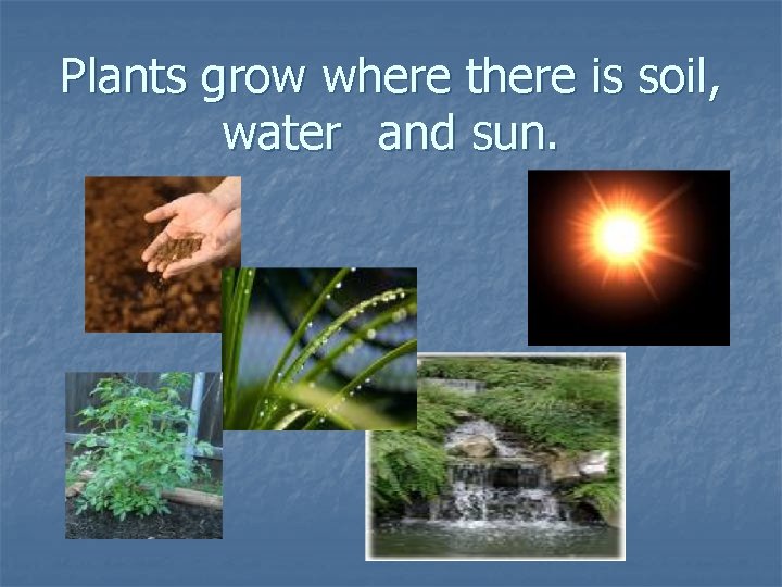 Plants grow where there is soil, water and sun. 