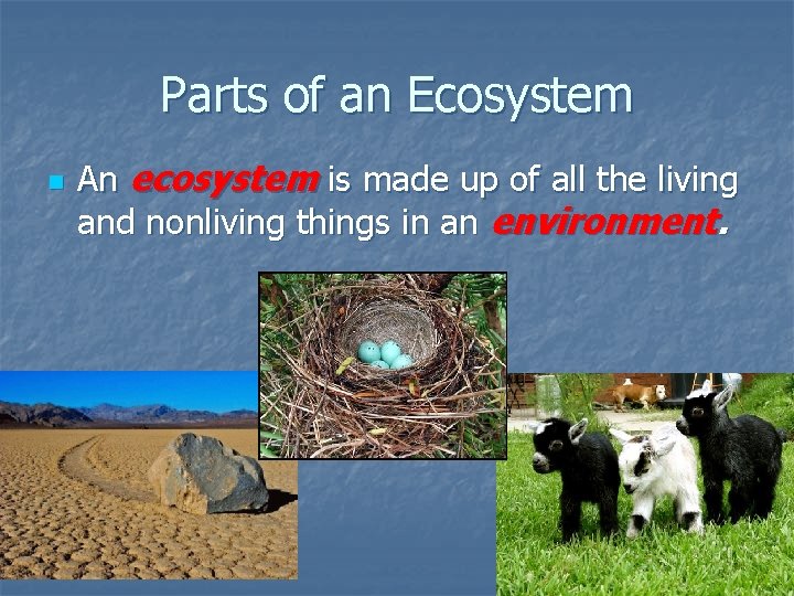 Parts of an Ecosystem n An ecosystem is made up of all the living