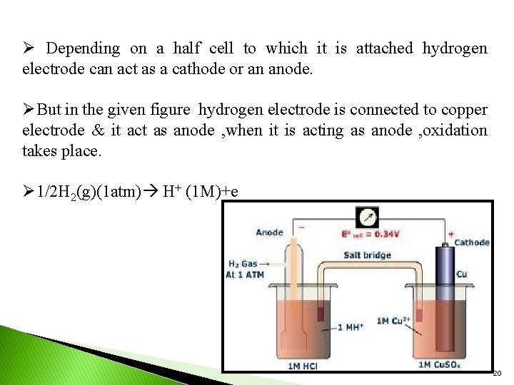 Ø Depending on a half cell to which it is attached hydrogen electrode can