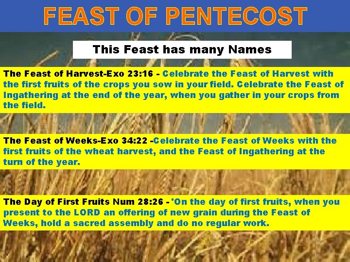 FEAST OF PENTECOST This Feast has many Names The Feast of Harvest-Exo 23: 16