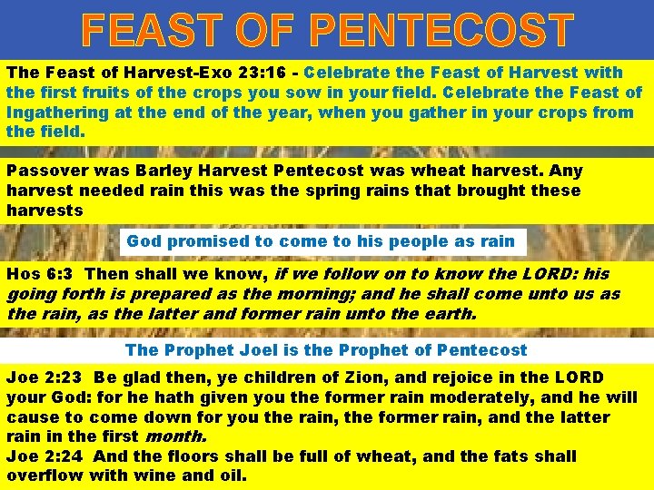 FEAST OF PENTECOST The Feast of Harvest-Exo 23: 16 - Celebrate the Feast of