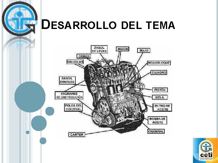 DESARROLLO DEL TEMA 