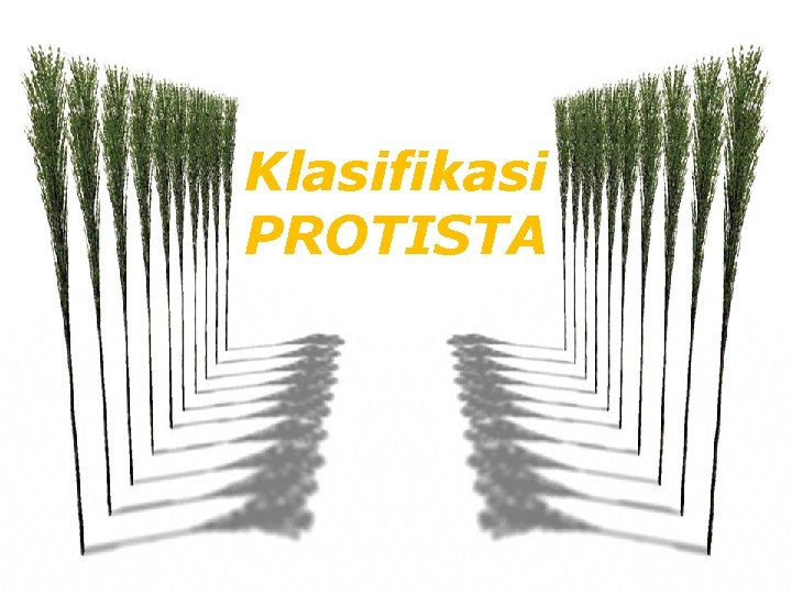 Klasifikasi PROTISTA 