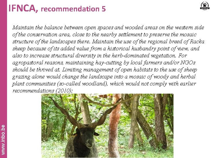 IFNCA, recommendation 5 www. inbo. be Maintain the balance between open spaces and wooded