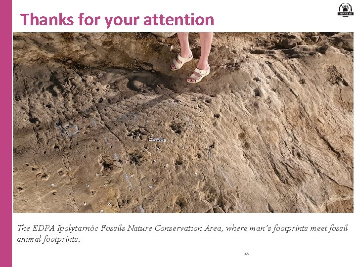 Thanks for your attention The EDPA Ipolytarnóc Fossils Nature Conservation Area, where man’s footprints