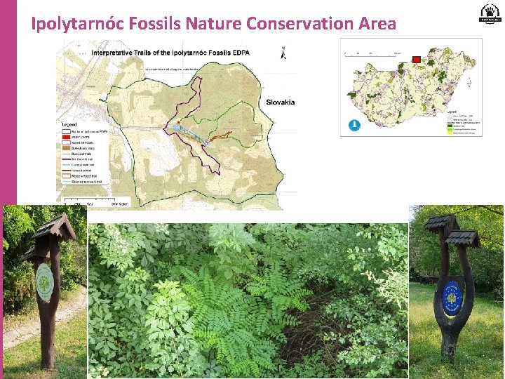 Ipolytarnóc Fossils Nature Conservation Area 3 