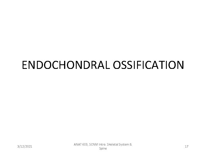 ENDOCHONDRAL OSSIFICATION 3/12/2021 ANAT 603, SCNM Intro. Skeletal System & Spine 17 