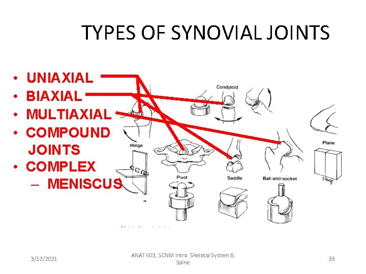 TYPES OF SYNOVIAL JOINTS • • UNIAXIAL BIAXIAL MULTIAXIAL COMPOUND JOINTS • COMPLEX –