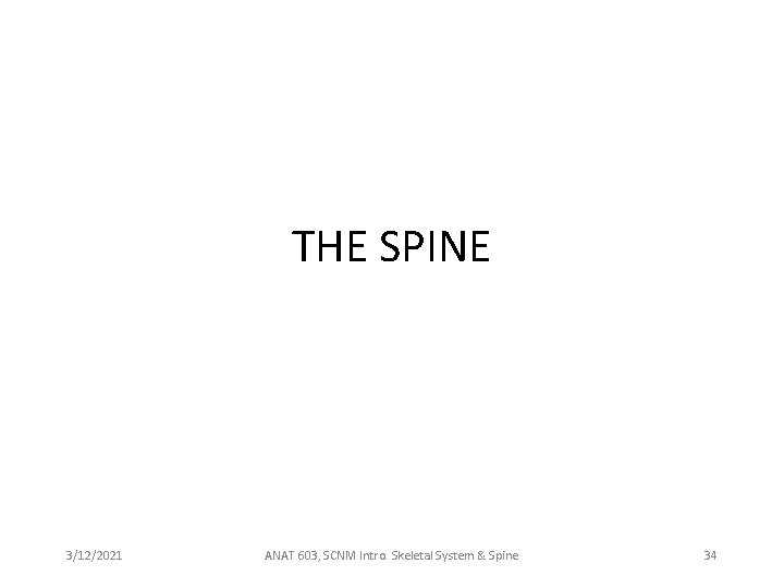 THE SPINE 3/12/2021 ANAT 603, SCNM Intro. Skeletal System & Spine 34 