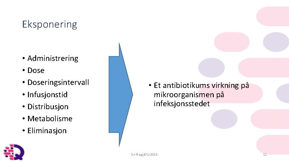 Eksponering • Administrering • Doseringsintervall • Infusjonstid • Distribusjon • Metabolisme • Eliminasjon •