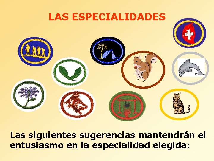 LAS ESPECIALIDADES Las siguientes sugerencias mantendrán el entusiasmo en la especialidad elegida: 