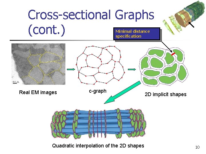 Cross-sectional Graphs (cont. ) Minimal distance specification Real EM images c-graph Quadratic interpolation of