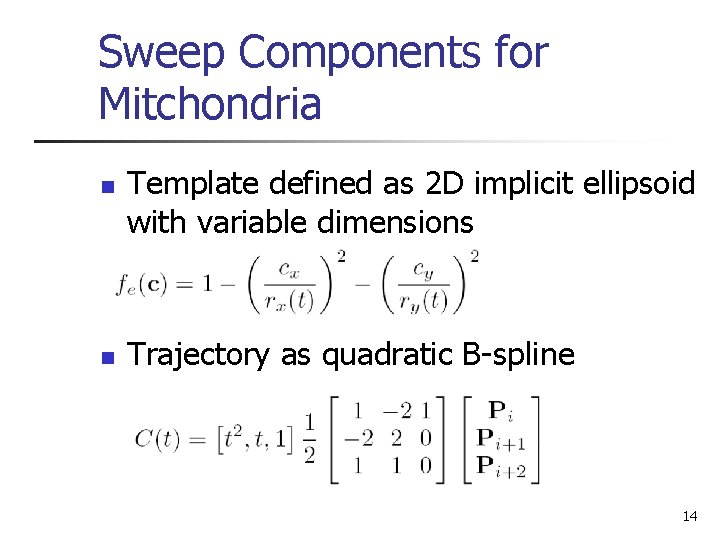 Sweep Components for Mitchondria n n Template defined as 2 D implicit ellipsoid with