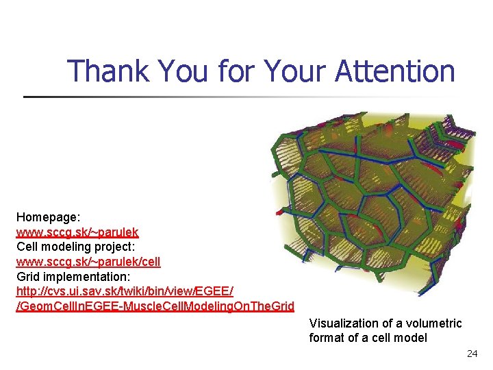 Thank You for Your Attention Homepage: www. sccg. sk/~parulek Cell modeling project: www. sccg.