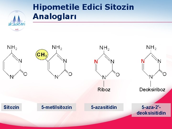 Hipometile Edici Sitozin Analogları Sitozin 5 -metilsitozin Riboz Deoksiriboz 5 -azasitidin 5 -aza-2’deoksisitidin 