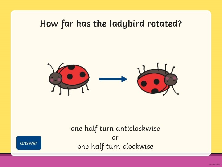 How far has the ladybird rotated? answer one half turn anticlockwise or one half