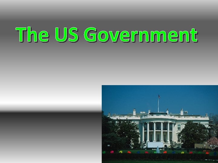 The US Government 