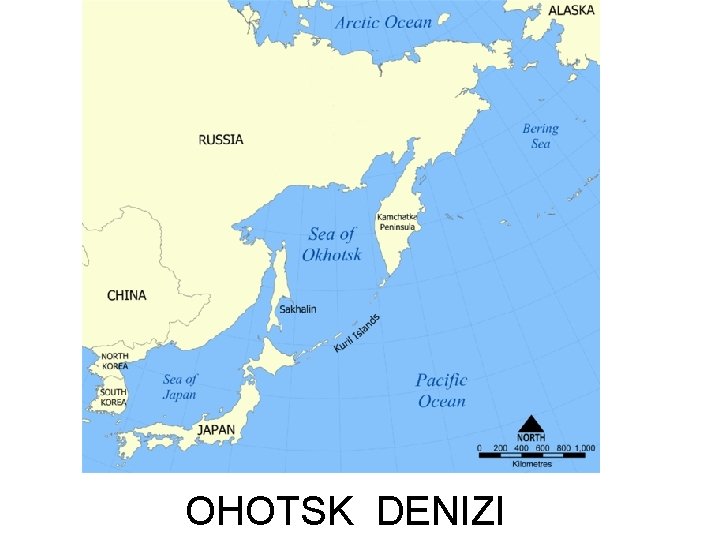 OHOTSK DENIZI 