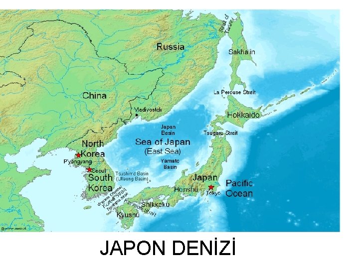 JAPON DENİZİ 