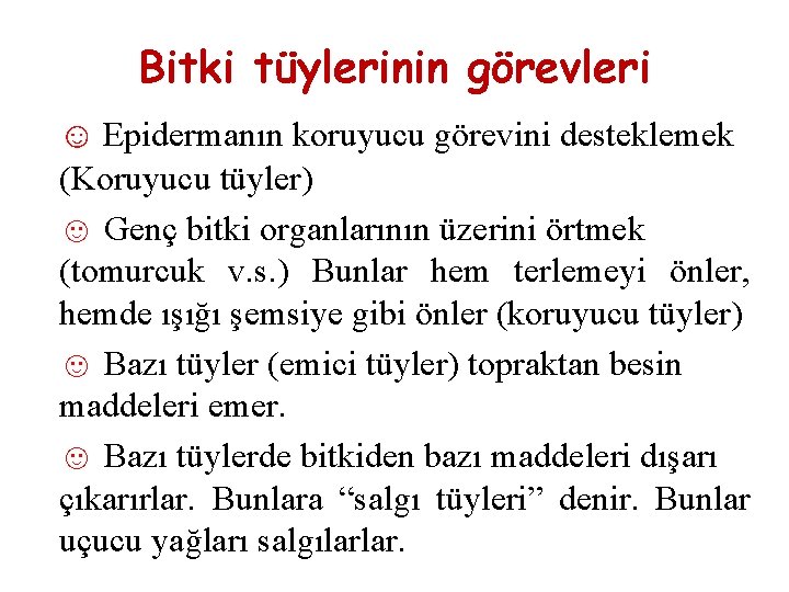 Bitki tüylerinin görevleri ☺ Epidermanın koruyucu görevini desteklemek (Koruyucu tüyler) ☺ Genç bitki organlarının