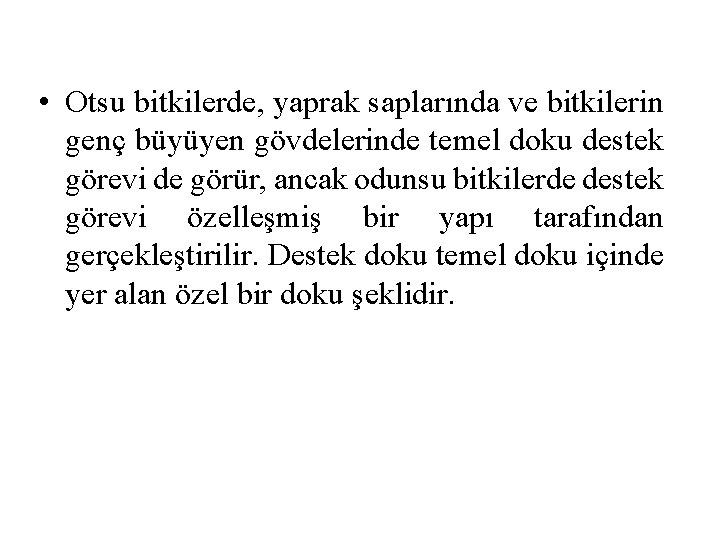  • Otsu bitkilerde, yaprak saplarında ve bitkilerin genç büyüyen gövdelerinde temel doku destek