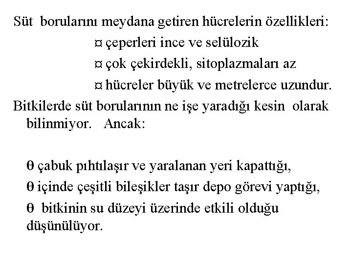 Süt borularını meydana getiren hücrelerin özellikleri: ¤ çeperleri ince ve selülozik ¤ çok çekirdekli,