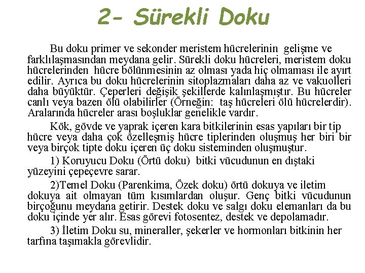 2 - Sürekli Doku Bu doku primer ve sekonder meristem hücrelerinin gelişme ve farklılaşmasından