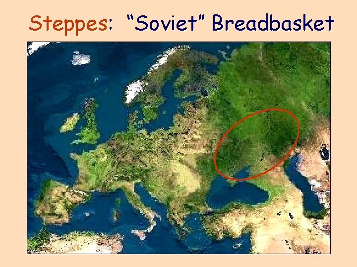 Steppes: “Soviet” Breadbasket 