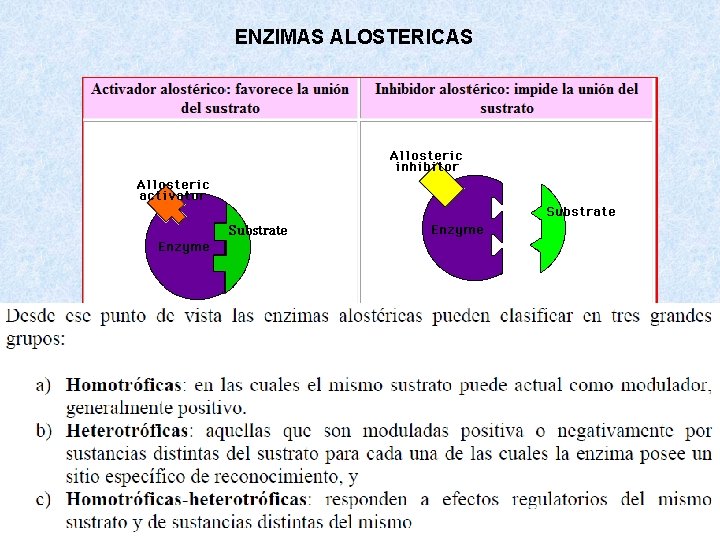 ENZIMAS ALOSTERICAS ENZIMAS ALOSTERICAS