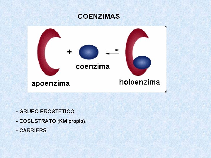 COENZIMAS - GRUPO PROSTETICO - COSUSTRATO (KM propio). - CARRIERS COENZIMAS - GRUPO PROSTETICO - COSUSTRATO (KM propio). - CARRIERS