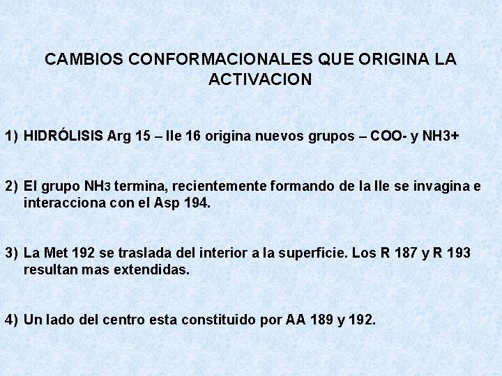 CAMBIOS CONFORMACIONALES QUE ORIGINA LA ACTIVACION 1) HIDRÓLISIS Arg 15 – Ile 16 origina CAMBIOS CONFORMACIONALES QUE ORIGINA LA ACTIVACION 1) HIDRÓLISIS Arg 15 – Ile 16 origina