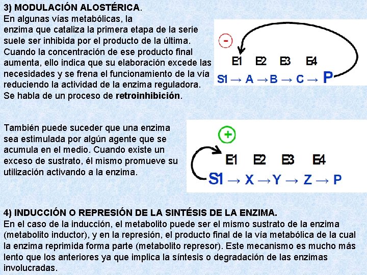 3) MODULACIÓN ALOSTÉRICA. En algunas vías metabólicas, la enzima que cataliza la primera etapa 3) MODULACIÓN ALOSTÉRICA. En algunas vías metabólicas, la enzima que cataliza la primera etapa