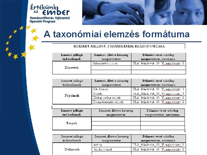 A taxonómiai elemzés formátuma 