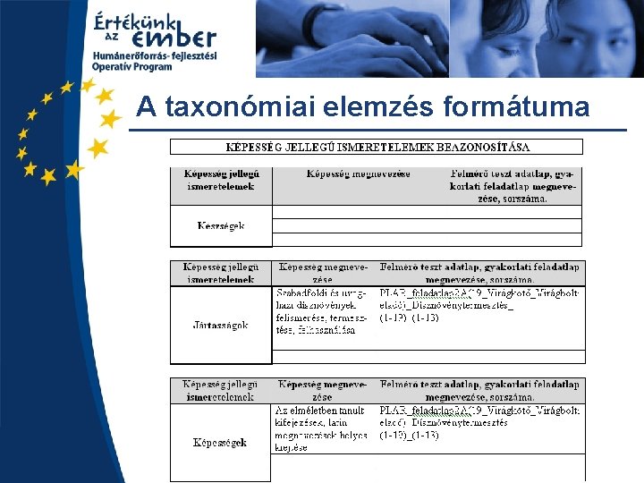 A taxonómiai elemzés formátuma 