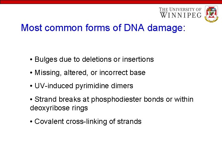 Most common forms of DNA damage: • Bulges due to deletions or insertions •